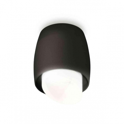 Комплект накладного светильника Ambrella light Techno Spot XS1142042 SBK/FR черный песок/белый матовый (C1142, N7175) для магазина, цвет черный