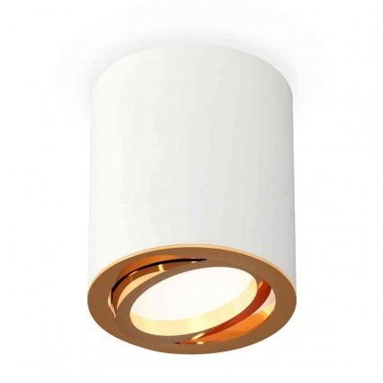 Комплект накладного светильника Ambrella light Techno Spot XS7421003 SWH/PYG белый песок/золото желтое полированное (C7421, N7004) для магазина, цвет белый