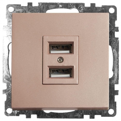 Розетка 2хUSB Stekker Катрин шампань GLS10-7115-02 39602 в современном стиле