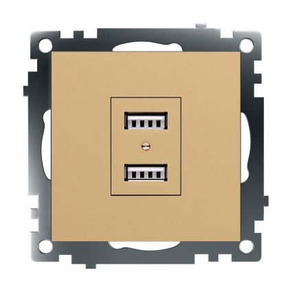 Розетка 2хUSB Stekker Катрин золото GLS10-7115-08 49229, цвет золотой, золотой,  в современном стиле