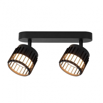 Спот Arte Lamp Atria A8031PL-2BK, цвет черный,  в стиле лофт