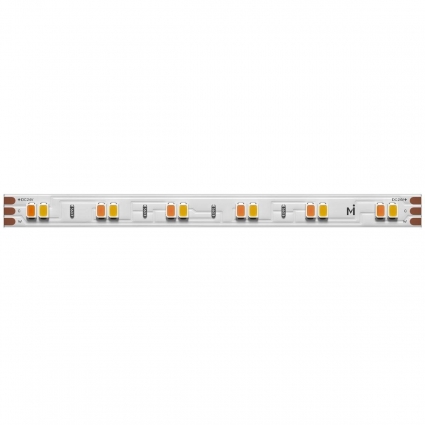 Светодиодная лента Maytoni 12W/m 120LED/m 2835SMD от теплого до холодного 5M 201123