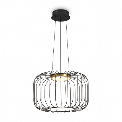 Подвесной светодиодный светильник Freya Citrus FR5398PL-L8B, цвет черный