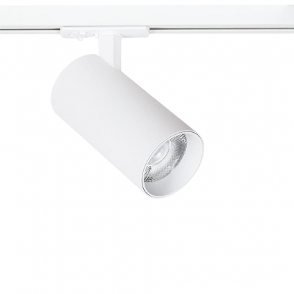 Трековый светильник Arte Lamp BENE A1937PL-1WH в современном стиле