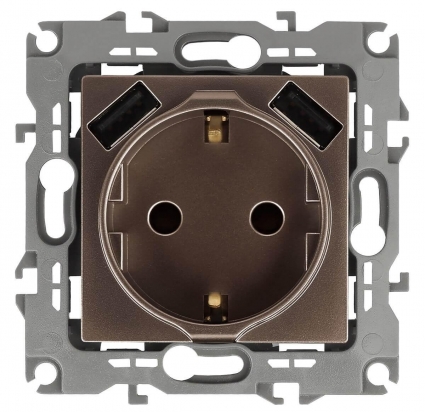 Розетка ЭРА Intro Solo Schuko P+E 16A 250V со шторками 2хUSB бронза 12-4109-13 Б0047847, цвет бронза,  в современном стиле