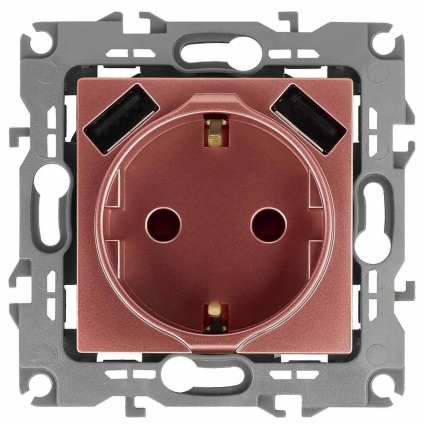 Розетка ЭРА Intro Solo Schuko P+E 16A 250V со шторками 2хUSB медь 12-4109-14 Б0047848, цвет медь,  в современном стиле