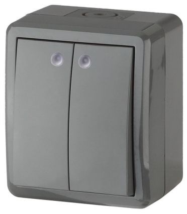 Выключатель двухклавишный с подсветкой ЭРА Эксперт 10AX 250V IP54 11-1405-03 Б0020678, цвет серый,  в современном стиле