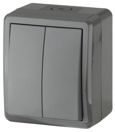 Выключатель двухклавишный ЭРА Эксперт 10AX 250V IP54 11-1404-03 Б0020676, цвет серый,  в современном стиле
