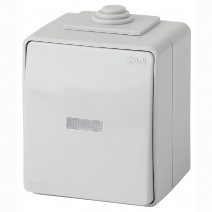 Выключатель одноклавишный с подсветкой ЭРА Эксперт 10AX 250V IP65 11-1602-03 Б0035974, цвет серый,  в современном стиле