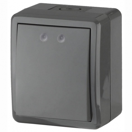 Выключатель одноклавишный ЭРА Эксперт 10AX 250V IP54 11-1401-03 Б0020670, цвет серый,  в современном стиле