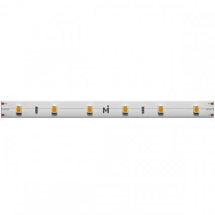 Светодиодная лента Maytoni Led Strip 201011
