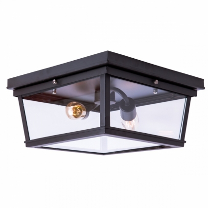 Потолочный светильник Loft IT Loft3110-2C для прихожей площадью до 4.4 кв.м.,  в современном стиле