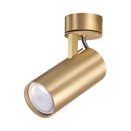 Спот Odeon Light Corse 3876/1C для прихожей, цвет золотой