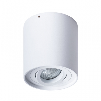 Потолочный светильник Arte Lamp Falcon A5645PL-1WH для гостиной, цвет белый