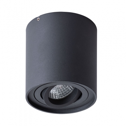 Потолочный светильник Arte Lamp Falcon A5645PL-1BK для прихожей, цвет черный