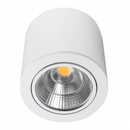 Потолочный светодиодный светильник Arlight SP-Focus-R140-30W Day White 021428 для магазина, цвет белый,  в современном стиле