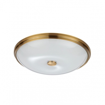 Потолочный светильник Odeon Light Pelow 4956/5 для кухни площадью до 10 кв.м.,  в стиле модерн