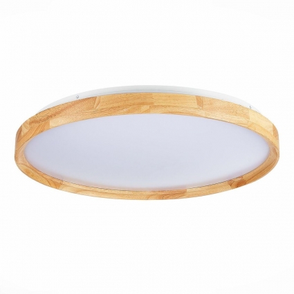 Потолочный сетодиодный светильник Evoluce Delia SLE201382-01 для спальни площадью до 14 кв.м.