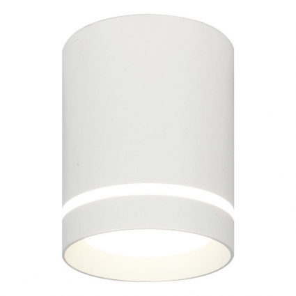 Потолочный светодиодный светильник Escada 20009SMU/01LED SWH для прихожей площадью до 2 кв.м.,  в современном стиле