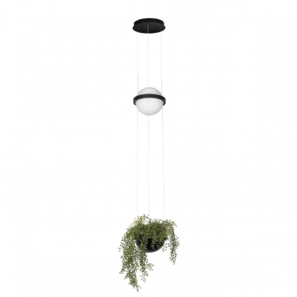 Подвесной светильник LOFT IT Jardin 10121/B для гостиной, цвет черный,  в стиле модерн