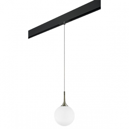 Трековый светильник Lightstar Globo (813021+595007) PRO813021 для кухни, цвет бронза,  в стиле арт-деко