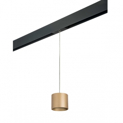 Трековый светильник Lightstar Rullo (213490+595887) PRORP3490 для гостиной, цвет золотой,  в стиле Хай-тек