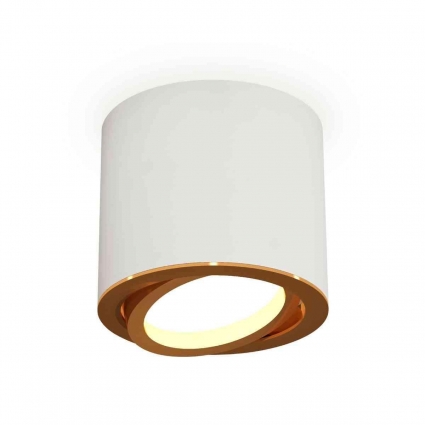 Комплект накладного светильника Ambrella light Techno Spot XS7401004 SWH/PYG белый песок/золото желтое полированное (C7401, N7004) для магазина, цвет белый
