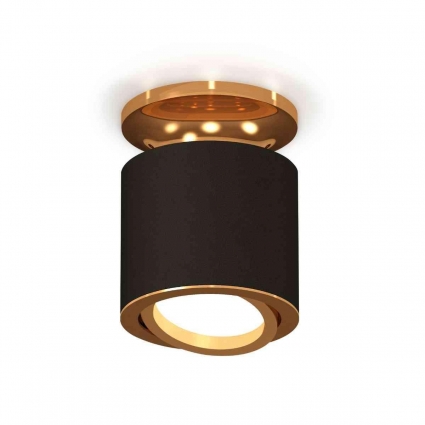 Комплект накладного светильника Ambrella light Techno Spot XS7402100 SBK/PYG черный песок/золото желтое полированное (N7929, C7402, N7004) для магазина, цвет черный